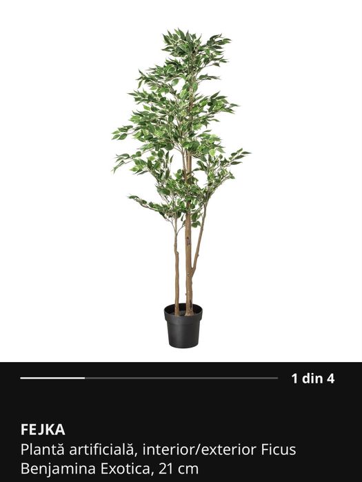 Planta artificiala Ikea FEJKA Ficus Benjamina Exotica