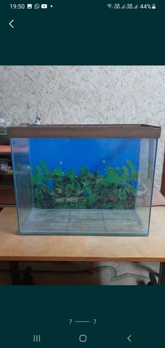 Продам аквариумы