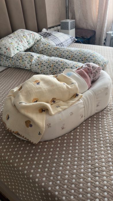 Продам кокон зевушка