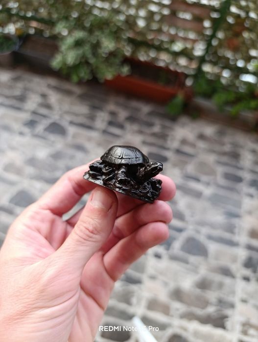 Малки костенурки