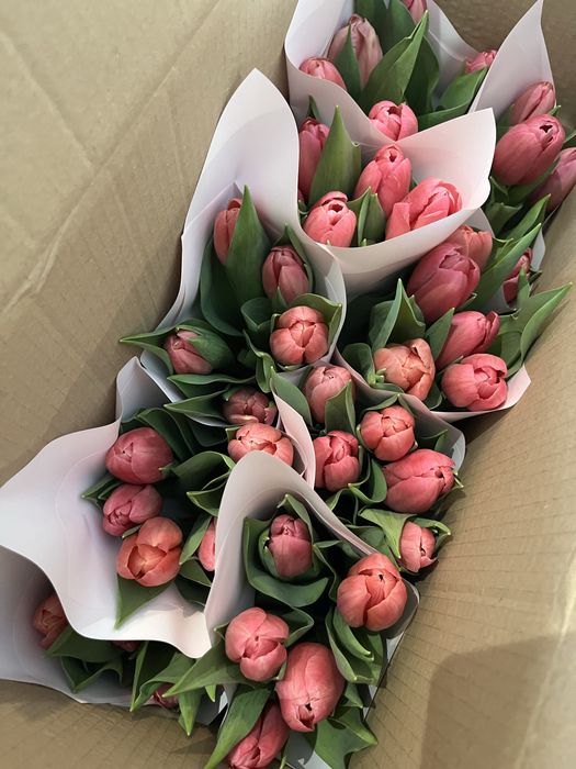 Тюльпаны в пачках/в оформлении