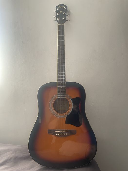 Chitara acustica Ibanez VN50NJP