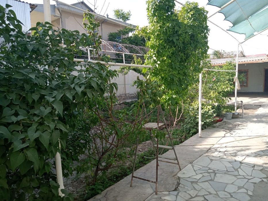 Дача вадакачкани олдида