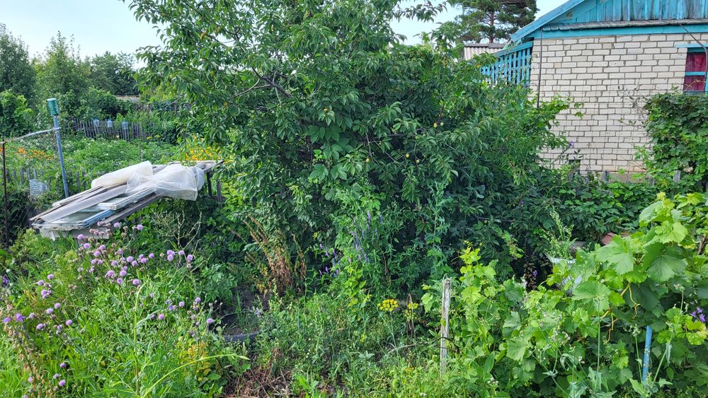 Продам дачу сады 1