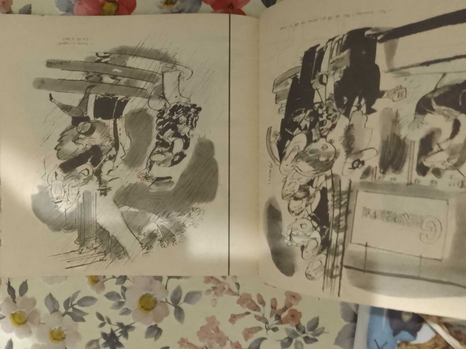 Din haz in haz . O culegere de caricaturi