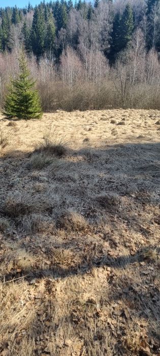 De vânzare teren  in Râșca