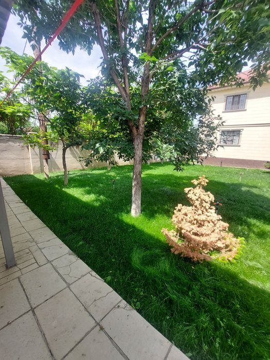 Рулонный газон, газон под ключ