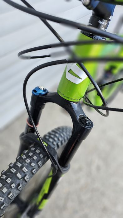 29цола карбонов bergamont