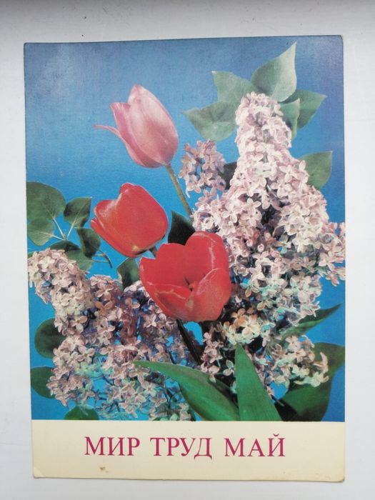 Советские Открытки СССР