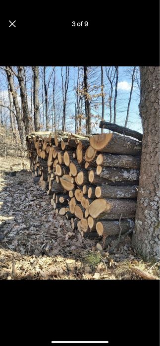 Дърва за огрев. Дъб и бук метровки