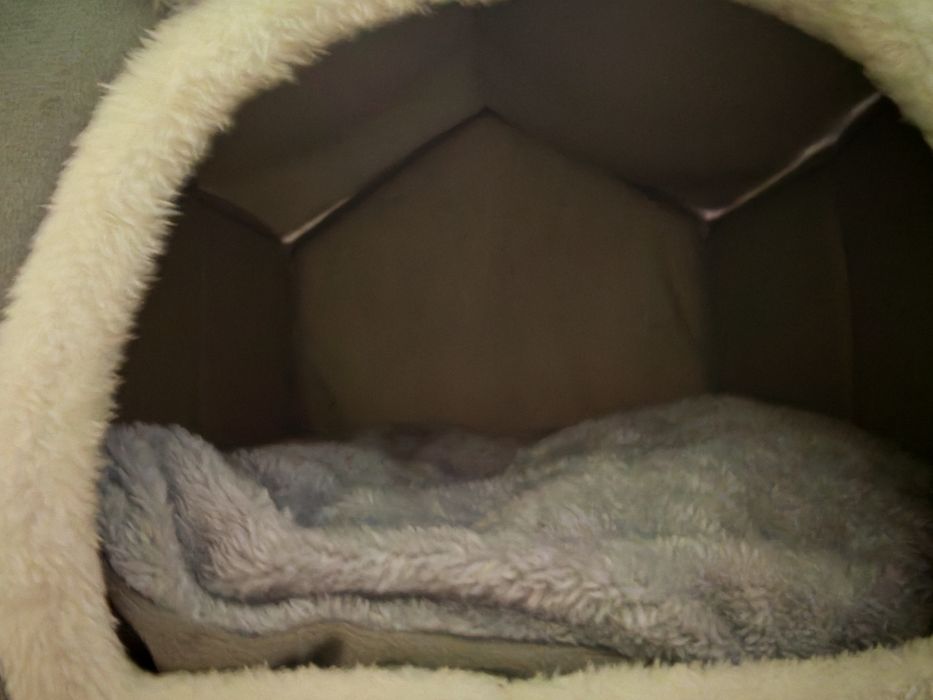 Къщичка за коте или друг домашен любимец