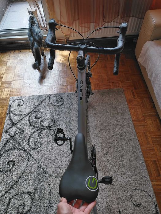 bicicleta cursiera