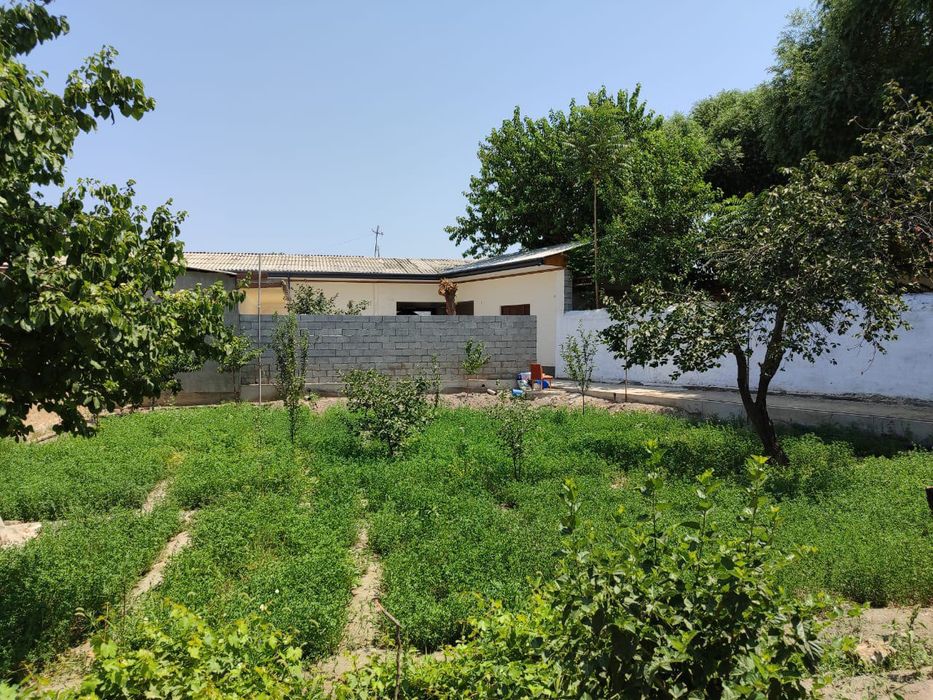 Ховлти Уй сотилади