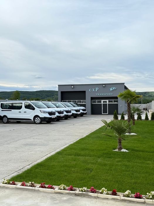 Transport persoane  Zilnic Romania Germania Belgia Olanda