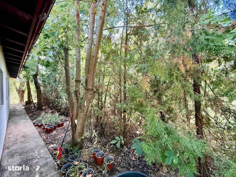 De închiriat|3 camere|136 mp utili|Curte 300 mp|2 locuri de parcare