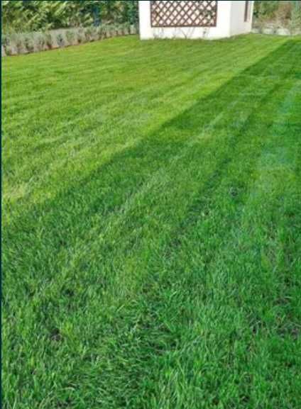 Sisteme de Irigat Hunter & Rain Bird – Control prin Smartphone și Automatizare