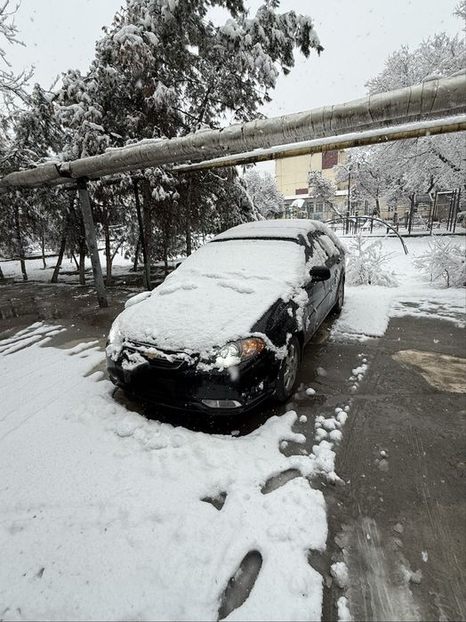 2022 jentra kraska toza