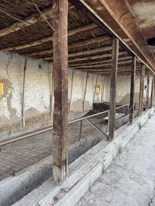 Yangiyol tumanida 65 sotix tayyor ferma va teplitsa sotiladi