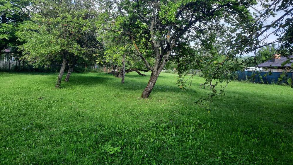 Teren livada casă Brebu Câmpina