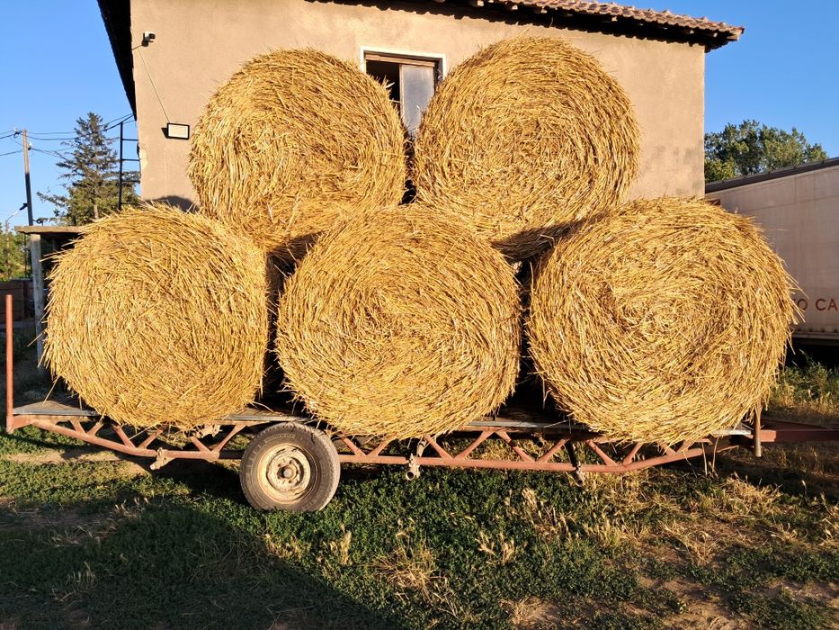 Продавам люцерна