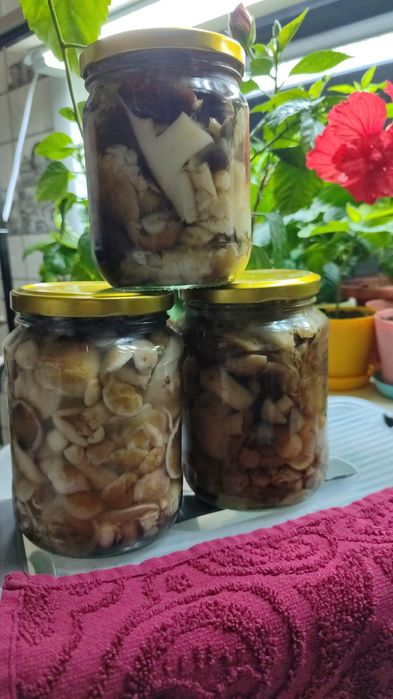 Продаю соленые грибы