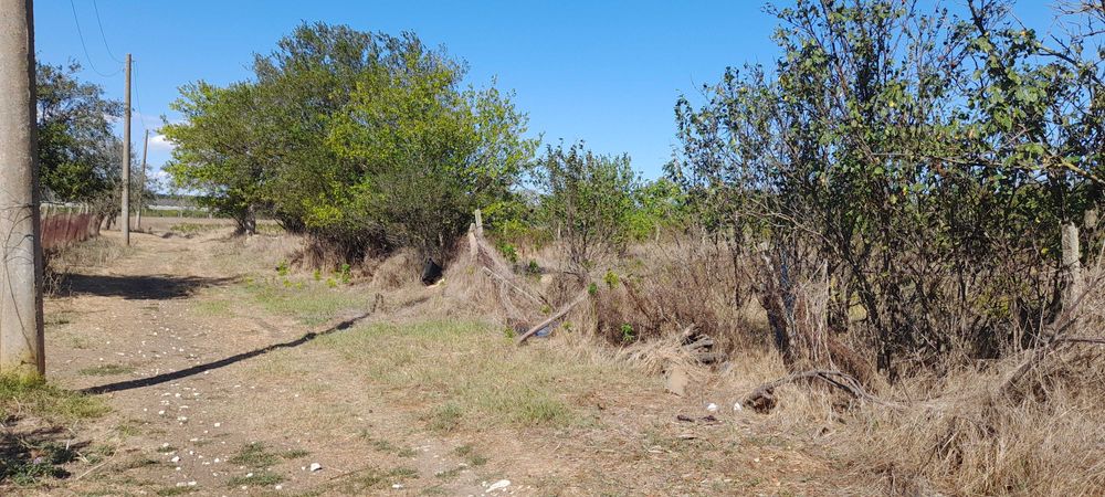 Продава се Парцел в с. Казашка река, Област Варна - 800 кв.м за 7 €/кв.м - Снимка #5