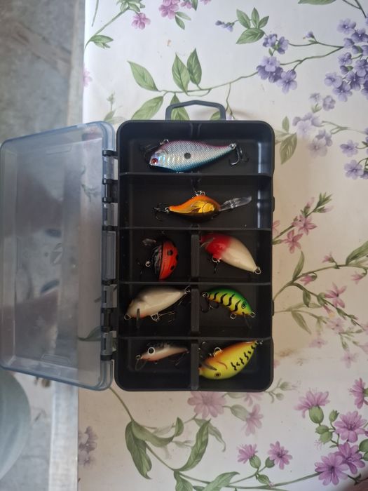 Vand set spinning Daiwa