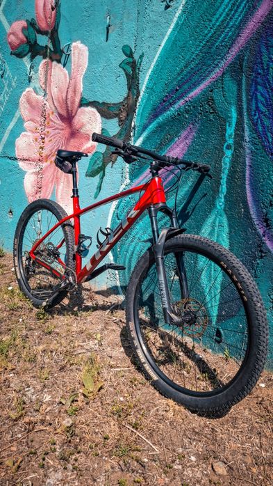 Trek Procaliber 6 (2024) XL