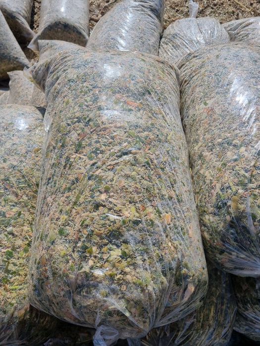 Makka silos sotiladi