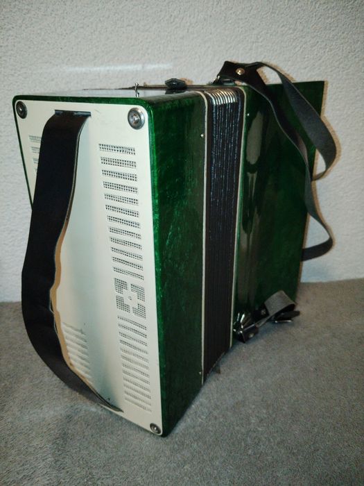 Acordeon Razno copiii