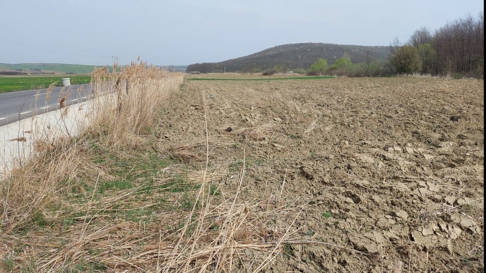 Teren de vanzare - Langa Padure