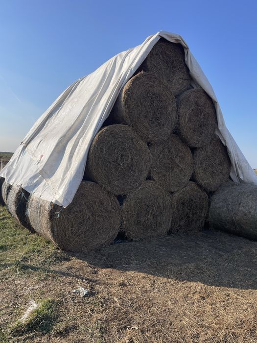 Vand lucerna coasa 3