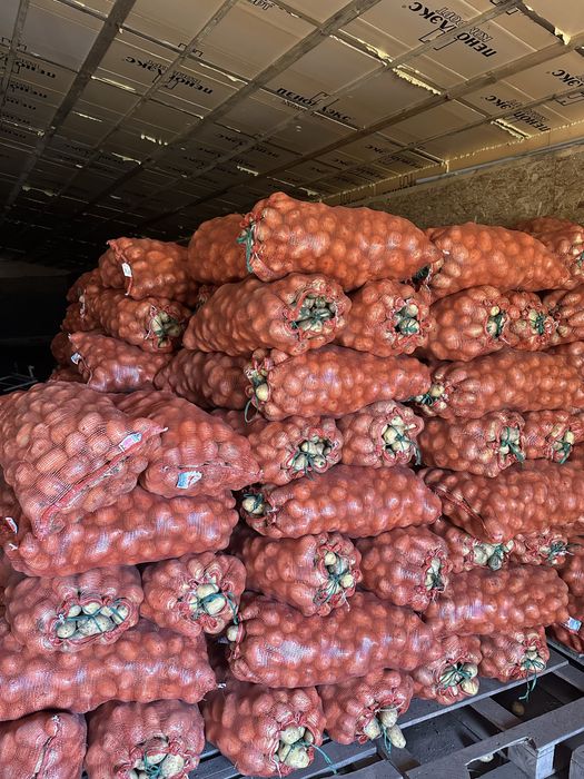 Продажа Картофеля