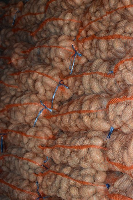 Cartofi albi de consum