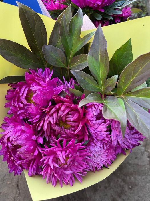 Продам многолетние цветы