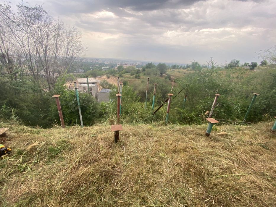 Участок Толе Би восточка