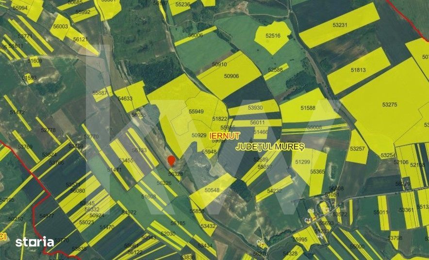 Oportunitate unica de investitie – Padure, catina si visuri verzi