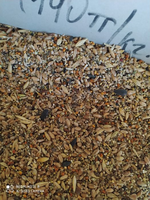 Продам кукуруза 180тг/кг