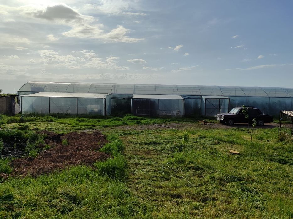Участок теплица готовая