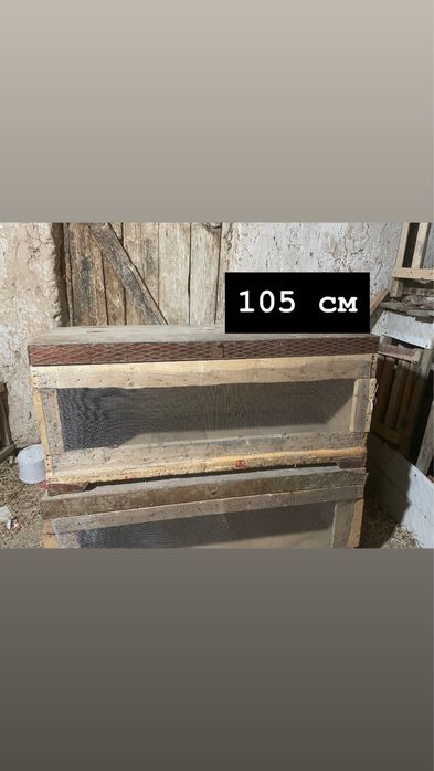 Балапанға брудер сатлады