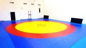 Борцовский ковер 12х12 рассрочка бар