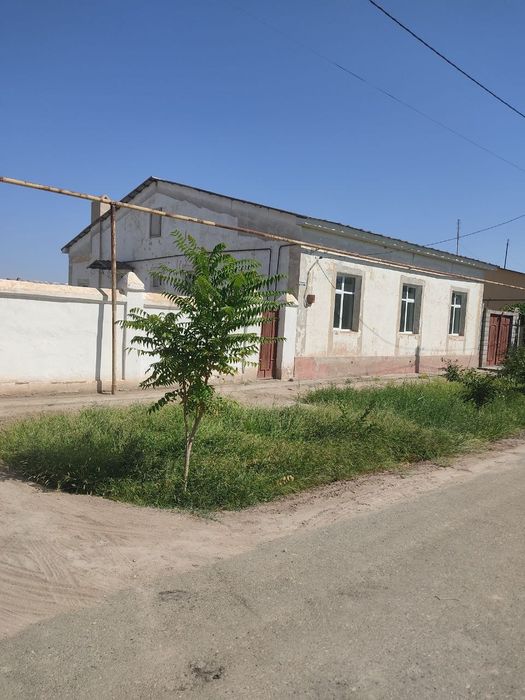 Тоза айрапортта намунали уй