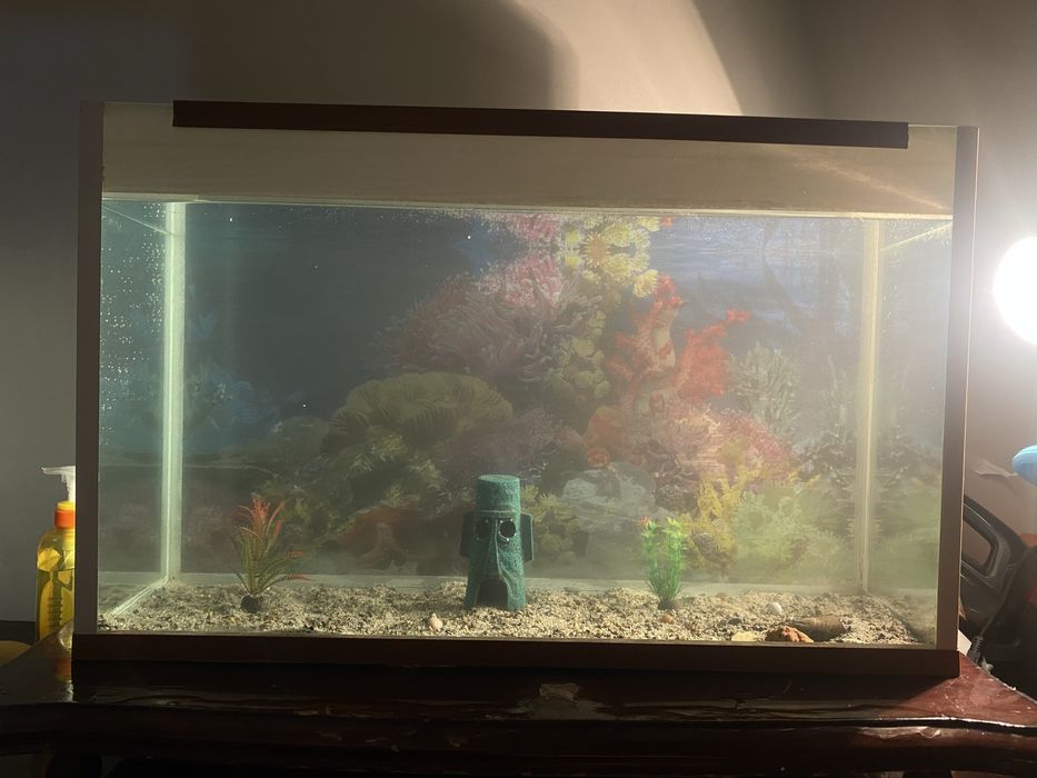 Аквариум с рыбками срочноо