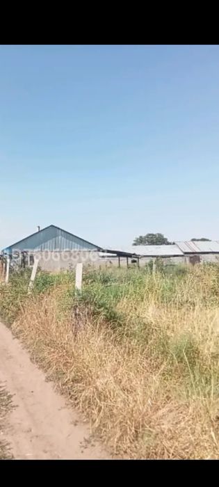 Фазенда продается