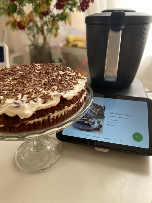 Consultant Thermomix 6 si 7