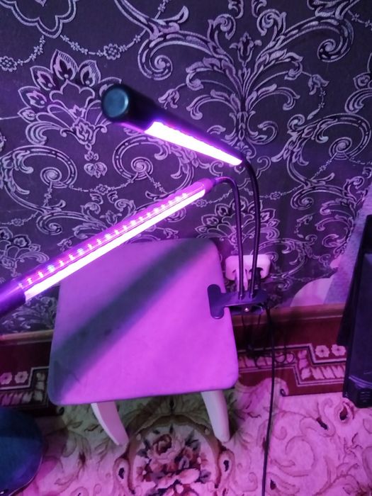 Продам Фитолампы две штуки