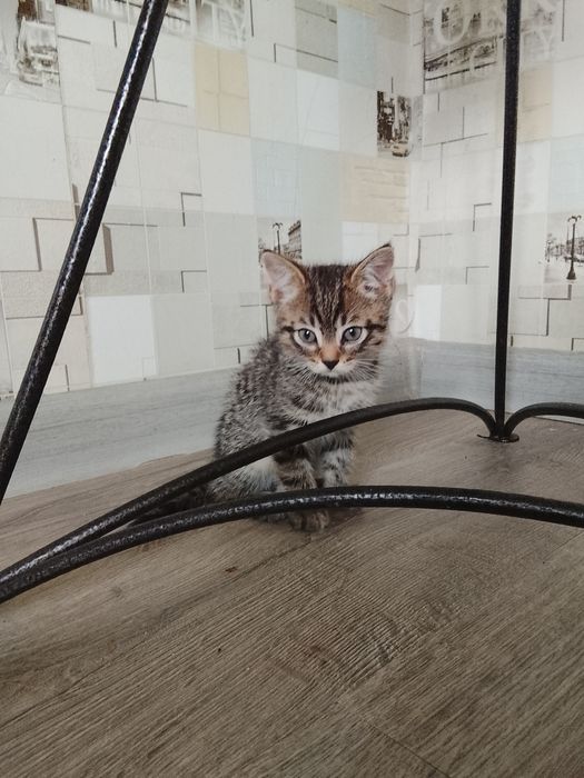 Марґалар бар суйкимди