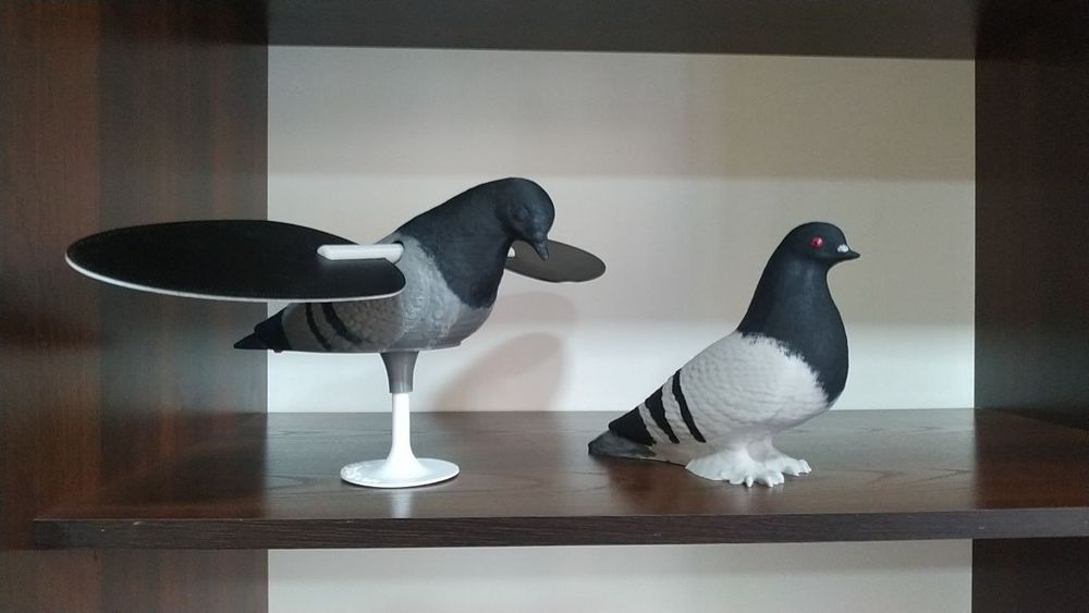 Подсодные голуби для охоты