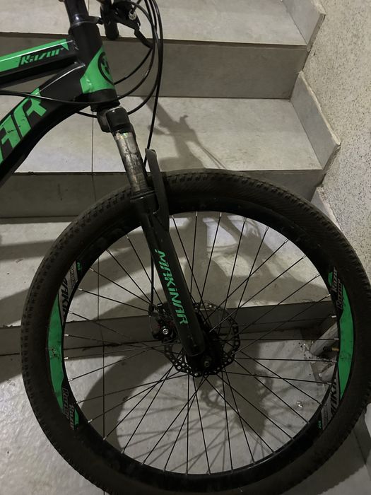 Велик макинар браль с каспий