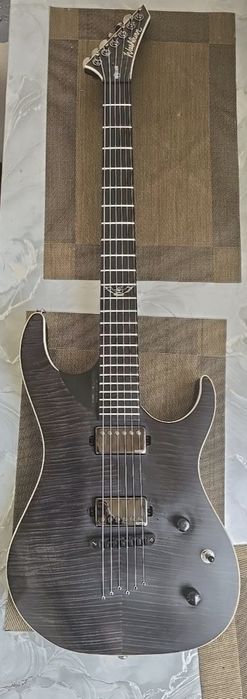 Washburn paralaxe psx 10